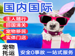 库尔勒梨城机场邮寄国际宠物托运 【国